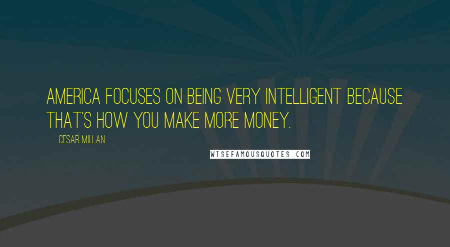 Cesar Millan Quotes: America focuses on being very intelligent because that's how you make more money.