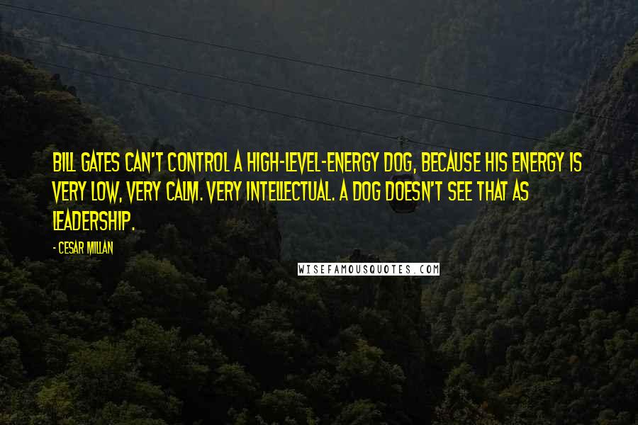 Cesar Millan Quotes: Bill Gates can't control a high-level-energy dog, because his energy is very low, very calm. Very intellectual. A dog doesn't see that as leadership.