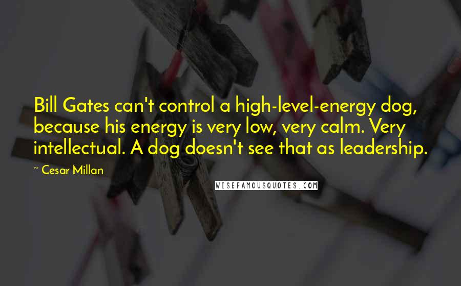 Cesar Millan Quotes: Bill Gates can't control a high-level-energy dog, because his energy is very low, very calm. Very intellectual. A dog doesn't see that as leadership.