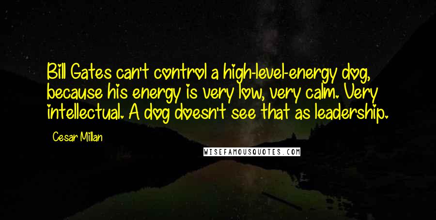 Cesar Millan Quotes: Bill Gates can't control a high-level-energy dog, because his energy is very low, very calm. Very intellectual. A dog doesn't see that as leadership.