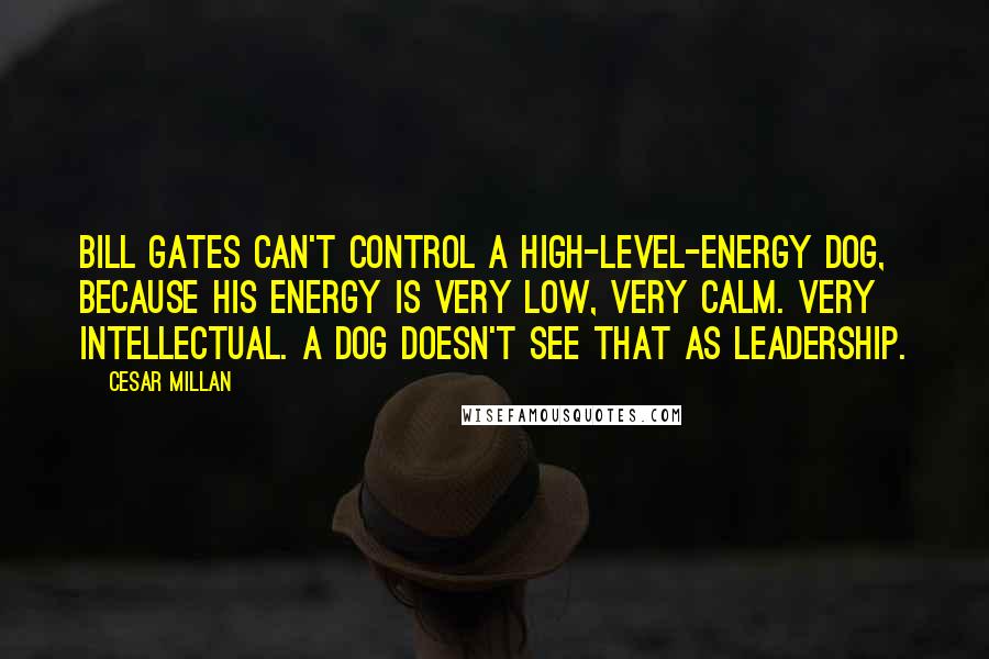 Cesar Millan Quotes: Bill Gates can't control a high-level-energy dog, because his energy is very low, very calm. Very intellectual. A dog doesn't see that as leadership.