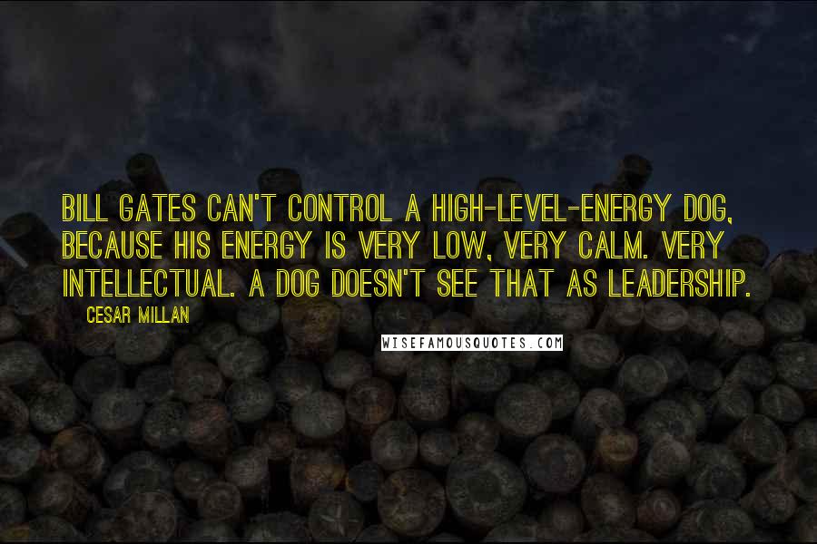 Cesar Millan Quotes: Bill Gates can't control a high-level-energy dog, because his energy is very low, very calm. Very intellectual. A dog doesn't see that as leadership.