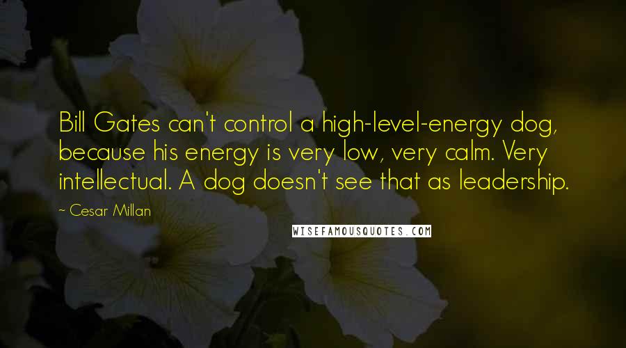 Cesar Millan Quotes: Bill Gates can't control a high-level-energy dog, because his energy is very low, very calm. Very intellectual. A dog doesn't see that as leadership.