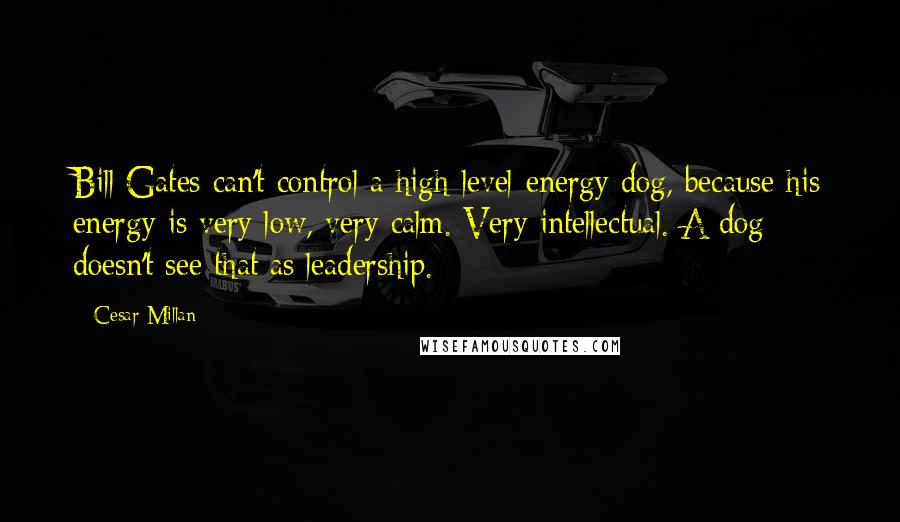 Cesar Millan Quotes: Bill Gates can't control a high-level-energy dog, because his energy is very low, very calm. Very intellectual. A dog doesn't see that as leadership.