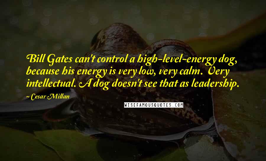 Cesar Millan Quotes: Bill Gates can't control a high-level-energy dog, because his energy is very low, very calm. Very intellectual. A dog doesn't see that as leadership.