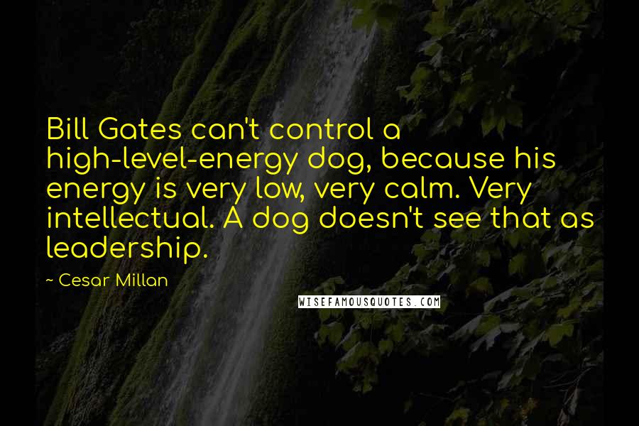 Cesar Millan Quotes: Bill Gates can't control a high-level-energy dog, because his energy is very low, very calm. Very intellectual. A dog doesn't see that as leadership.
