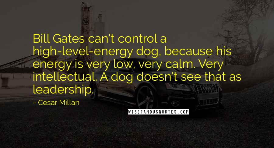 Cesar Millan Quotes: Bill Gates can't control a high-level-energy dog, because his energy is very low, very calm. Very intellectual. A dog doesn't see that as leadership.