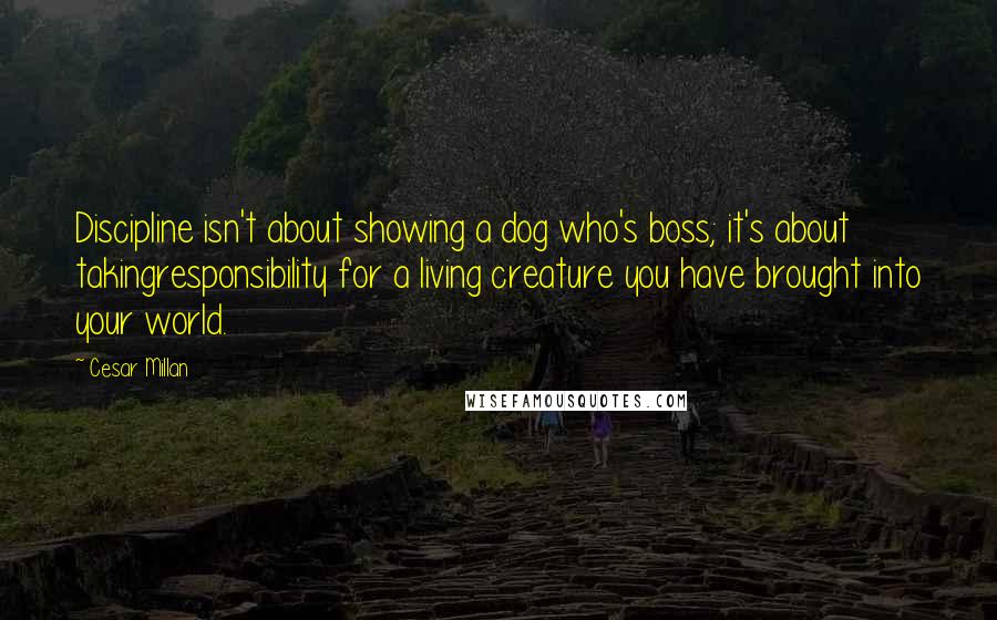 Cesar Millan Quotes: Discipline isn't about showing a dog who's boss; it's about takingresponsibility for a living creature you have brought into your world.