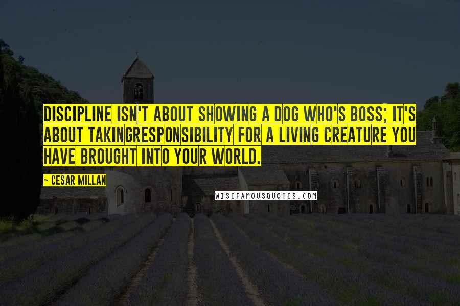 Cesar Millan Quotes: Discipline isn't about showing a dog who's boss; it's about takingresponsibility for a living creature you have brought into your world.