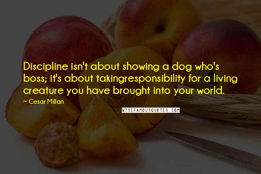 Cesar Millan Quotes: Discipline isn't about showing a dog who's boss; it's about takingresponsibility for a living creature you have brought into your world.