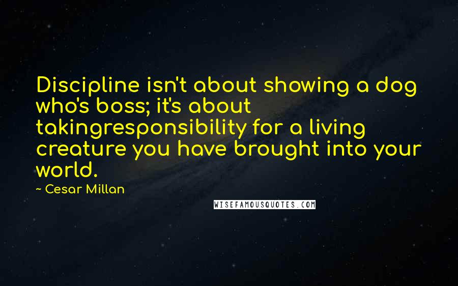 Cesar Millan Quotes: Discipline isn't about showing a dog who's boss; it's about takingresponsibility for a living creature you have brought into your world.