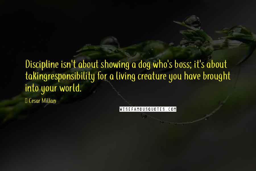 Cesar Millan Quotes: Discipline isn't about showing a dog who's boss; it's about takingresponsibility for a living creature you have brought into your world.