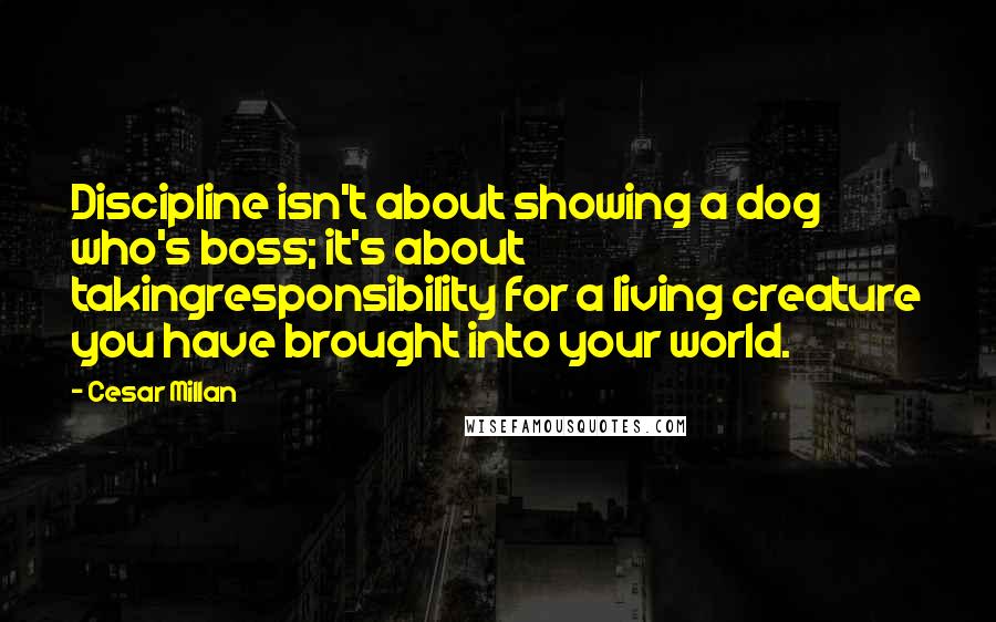 Cesar Millan Quotes: Discipline isn't about showing a dog who's boss; it's about takingresponsibility for a living creature you have brought into your world.