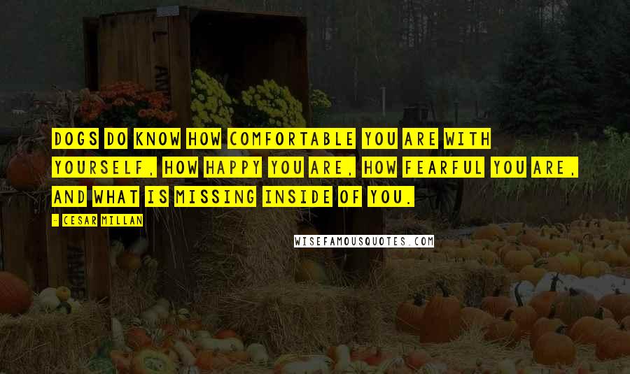 Cesar Millan Quotes: Dogs do know how comfortable you are with yourself, how happy you are, how fearful you are, and what is missing inside of you.