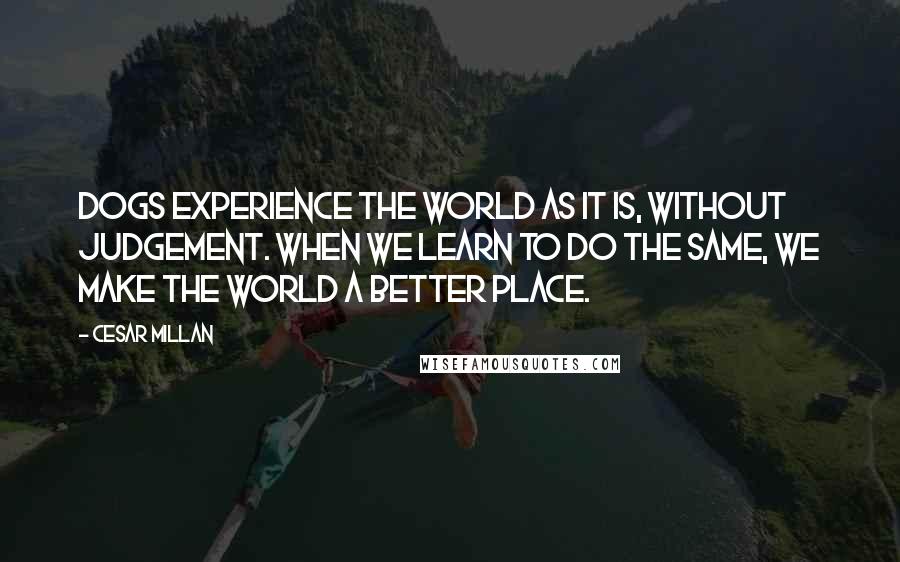 Cesar Millan Quotes: Dogs experience the world as it is, without judgement. When we learn to do the same, we make the world a better place.