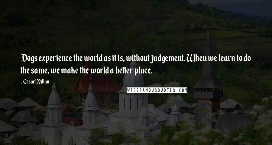 Cesar Millan Quotes: Dogs experience the world as it is, without judgement. When we learn to do the same, we make the world a better place.