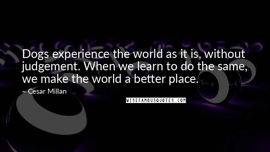 Cesar Millan Quotes: Dogs experience the world as it is, without judgement. When we learn to do the same, we make the world a better place.