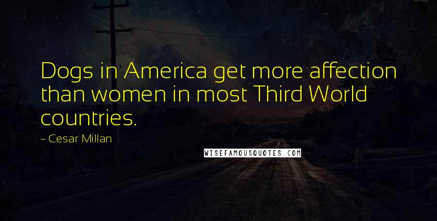 Cesar Millan Quotes: Dogs in America get more affection than women in most Third World countries.