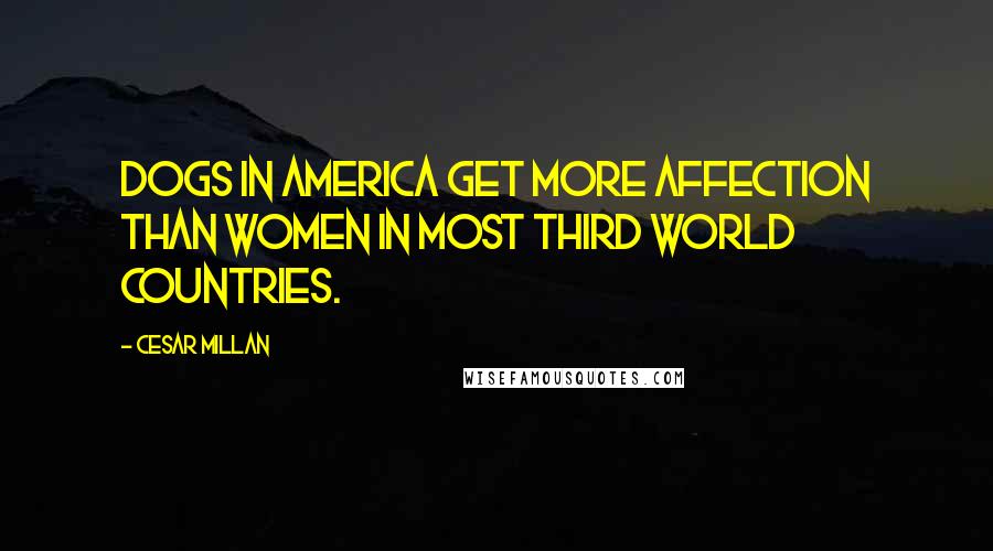 Cesar Millan Quotes: Dogs in America get more affection than women in most Third World countries.