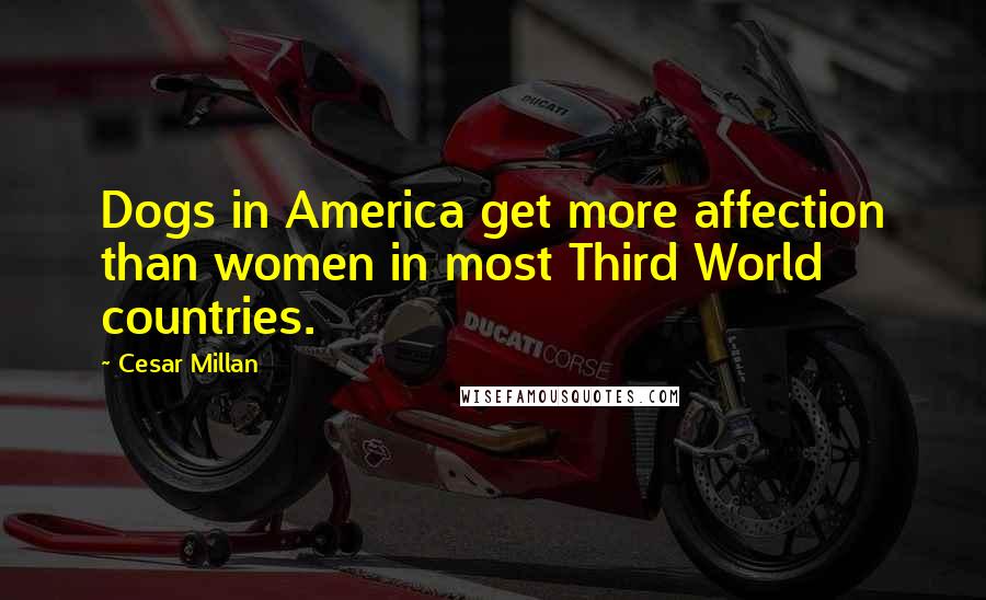 Cesar Millan Quotes: Dogs in America get more affection than women in most Third World countries.