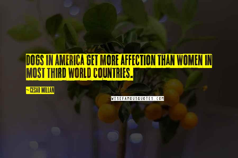 Cesar Millan Quotes: Dogs in America get more affection than women in most Third World countries.