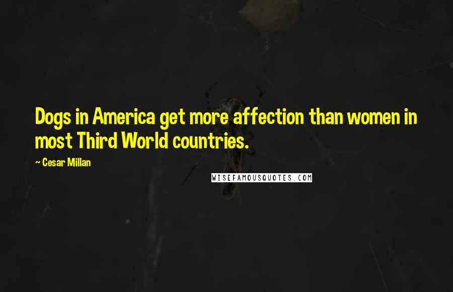 Cesar Millan Quotes: Dogs in America get more affection than women in most Third World countries.