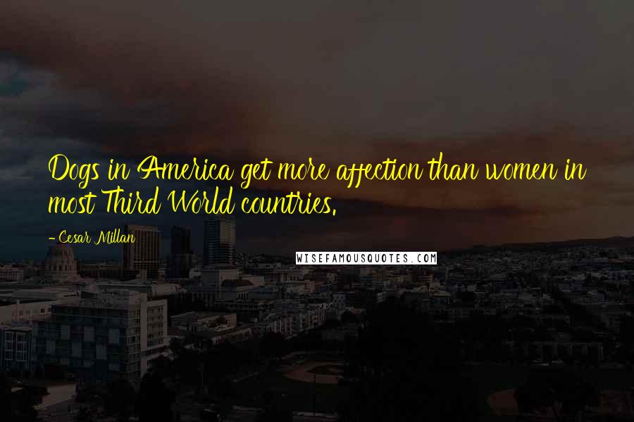 Cesar Millan Quotes: Dogs in America get more affection than women in most Third World countries.