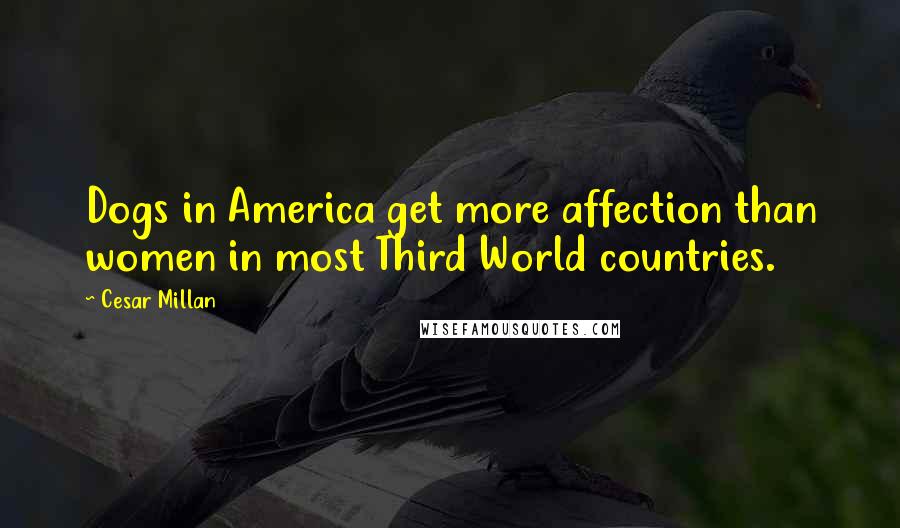 Cesar Millan Quotes: Dogs in America get more affection than women in most Third World countries.
