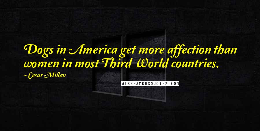 Cesar Millan Quotes: Dogs in America get more affection than women in most Third World countries.