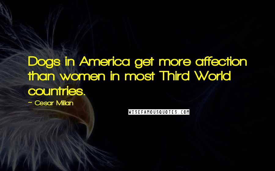 Cesar Millan Quotes: Dogs in America get more affection than women in most Third World countries.