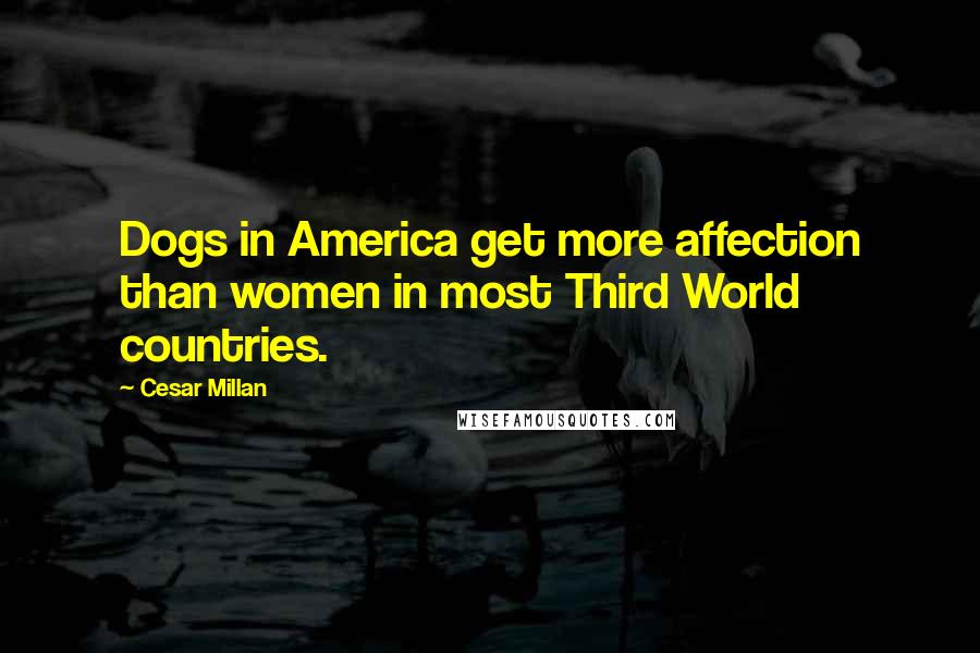 Cesar Millan Quotes: Dogs in America get more affection than women in most Third World countries.