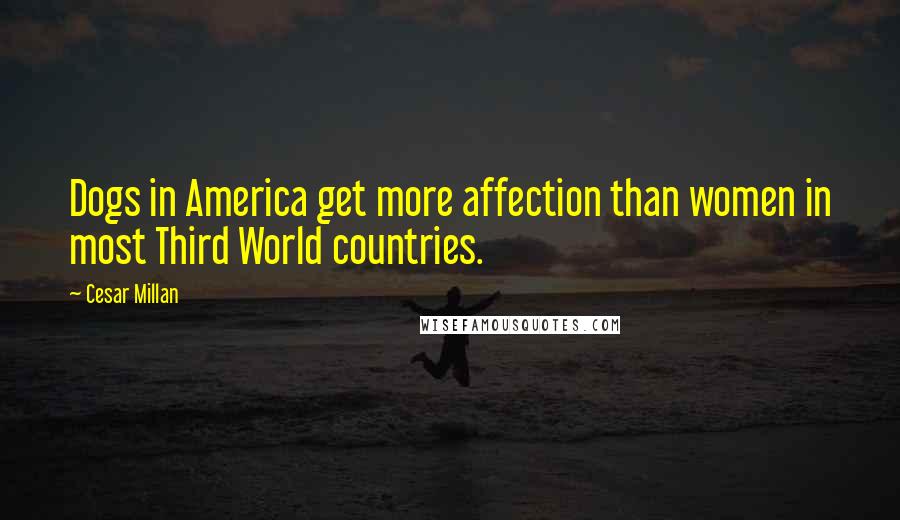 Cesar Millan Quotes: Dogs in America get more affection than women in most Third World countries.