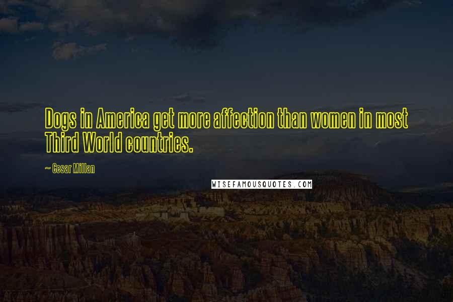 Cesar Millan Quotes: Dogs in America get more affection than women in most Third World countries.