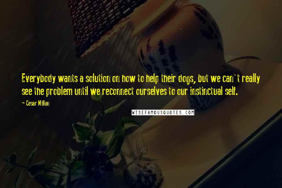 Cesar Millan Quotes: Everybody wants a solution on how to help their dogs, but we can't really see the problem until we reconnect ourselves to our instinctual self.