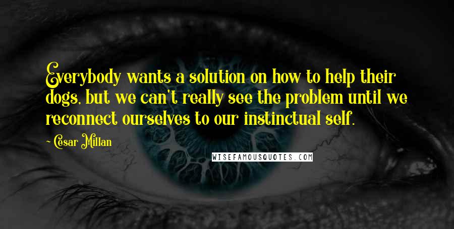 Cesar Millan Quotes: Everybody wants a solution on how to help their dogs, but we can't really see the problem until we reconnect ourselves to our instinctual self.