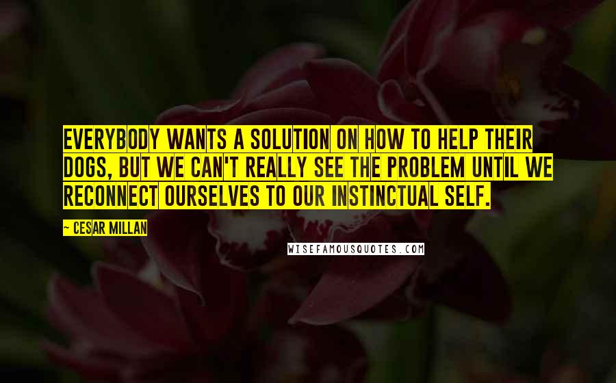 Cesar Millan Quotes: Everybody wants a solution on how to help their dogs, but we can't really see the problem until we reconnect ourselves to our instinctual self.