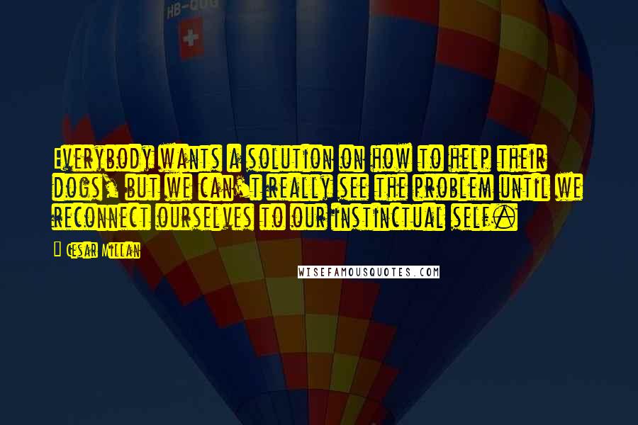Cesar Millan Quotes: Everybody wants a solution on how to help their dogs, but we can't really see the problem until we reconnect ourselves to our instinctual self.