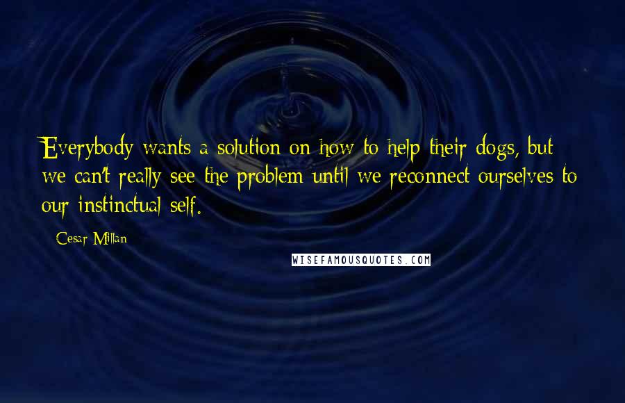 Cesar Millan Quotes: Everybody wants a solution on how to help their dogs, but we can't really see the problem until we reconnect ourselves to our instinctual self.