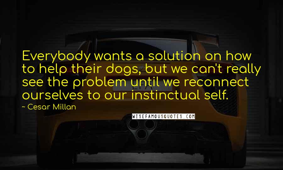 Cesar Millan Quotes: Everybody wants a solution on how to help their dogs, but we can't really see the problem until we reconnect ourselves to our instinctual self.