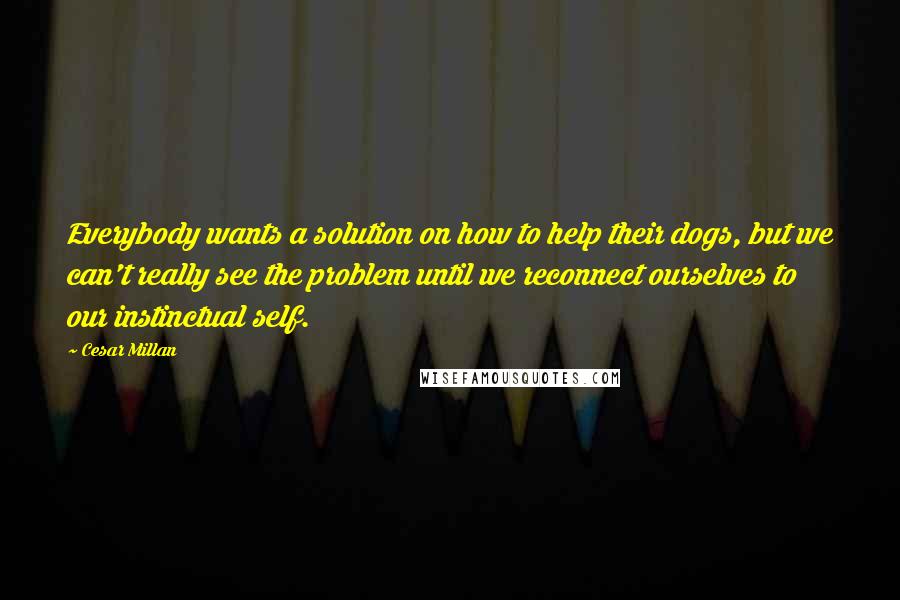 Cesar Millan Quotes: Everybody wants a solution on how to help their dogs, but we can't really see the problem until we reconnect ourselves to our instinctual self.