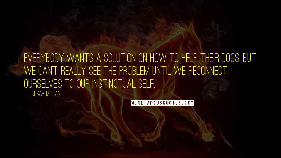 Cesar Millan Quotes: Everybody wants a solution on how to help their dogs, but we can't really see the problem until we reconnect ourselves to our instinctual self.