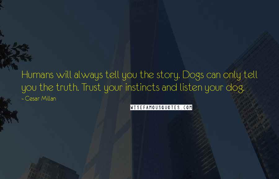 Cesar Millan Quotes: Humans will always tell you the story. Dogs can only tell you the truth. Trust your instincts and listen your dog.