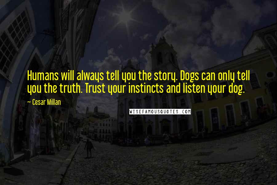 Cesar Millan Quotes: Humans will always tell you the story. Dogs can only tell you the truth. Trust your instincts and listen your dog.