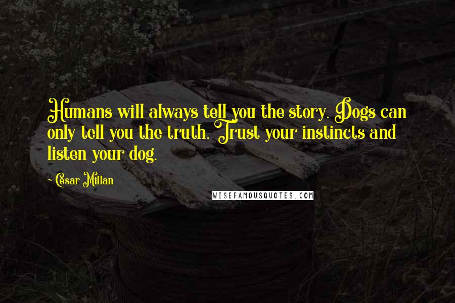 Cesar Millan Quotes: Humans will always tell you the story. Dogs can only tell you the truth. Trust your instincts and listen your dog.