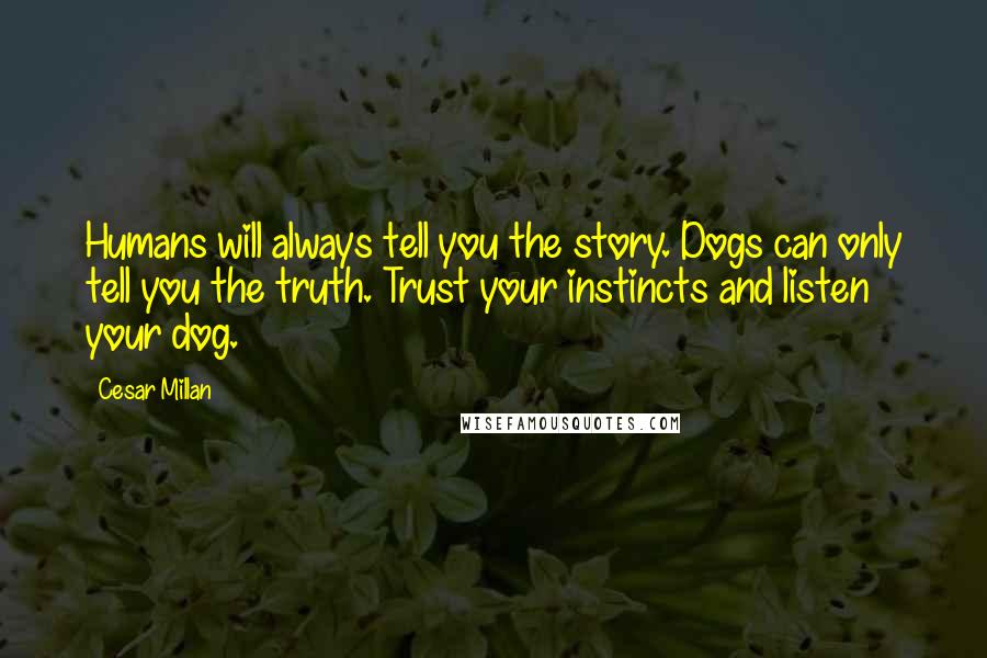 Cesar Millan Quotes: Humans will always tell you the story. Dogs can only tell you the truth. Trust your instincts and listen your dog.