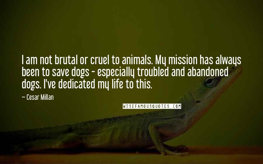 Cesar Millan Quotes: I am not brutal or cruel to animals. My mission has always been to save dogs - especially troubled and abandoned dogs. I've dedicated my life to this.