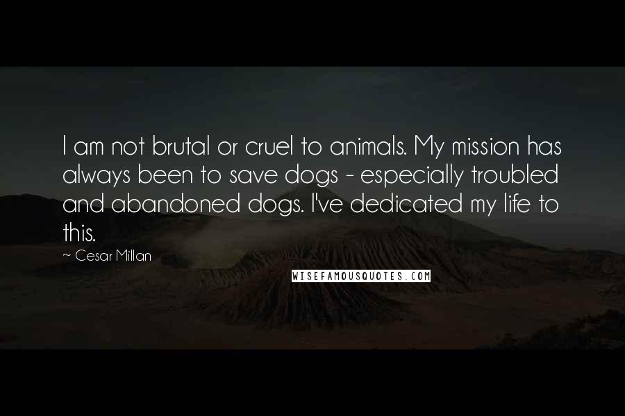 Cesar Millan Quotes: I am not brutal or cruel to animals. My mission has always been to save dogs - especially troubled and abandoned dogs. I've dedicated my life to this.