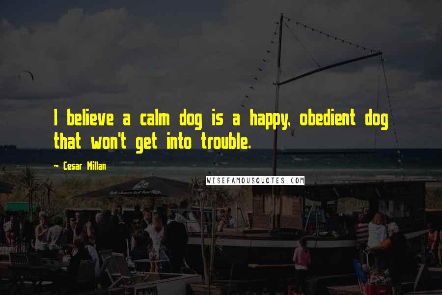 Cesar Millan Quotes: I believe a calm dog is a happy, obedient dog that won't get into trouble.