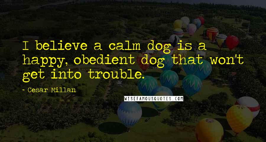 Cesar Millan Quotes: I believe a calm dog is a happy, obedient dog that won't get into trouble.