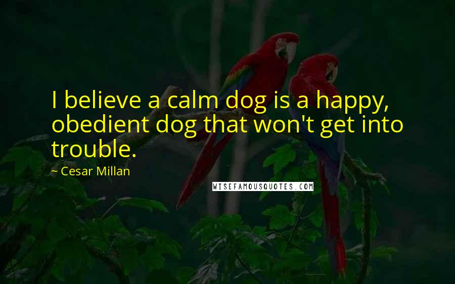 Cesar Millan Quotes: I believe a calm dog is a happy, obedient dog that won't get into trouble.